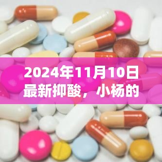 小楊的抑酸奇遇，友情、家庭與溫馨的日常生活（2024年11月10日最新）