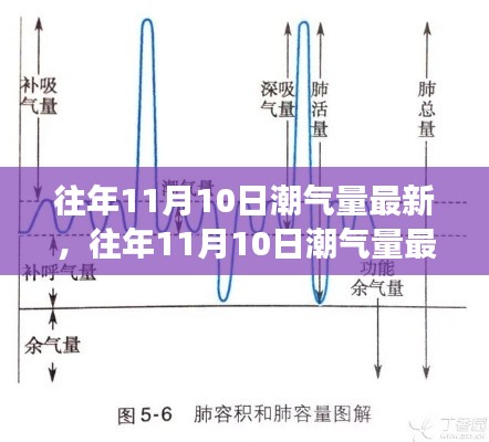 往年11月10日潮氣量最新分析與觀察報告