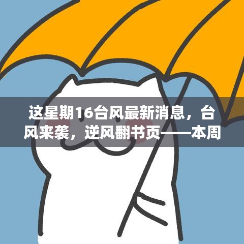 臺風來襲，逆風翻書頁，本周學習變化與最新臺風資訊的正能量交匯