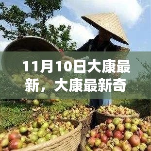 啟程尋找內(nèi)心的寧靜，大康奇遇記之與大自然共舞的日子（11月10日最新）