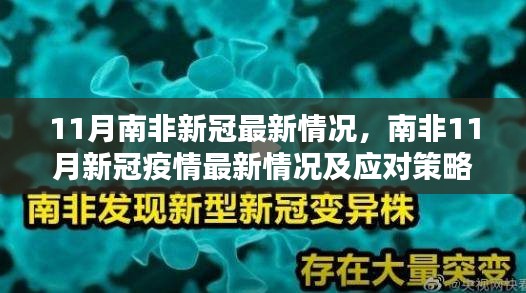 南非11月新冠疫情最新動態(tài)與應(yīng)對策略步驟指南