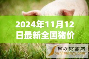 2024年11月12日全國豬價格行情深度分析與預測