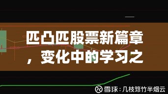 匹凸匹股票新篇章，變化中的學(xué)習(xí)之旅與自信成就融合之路