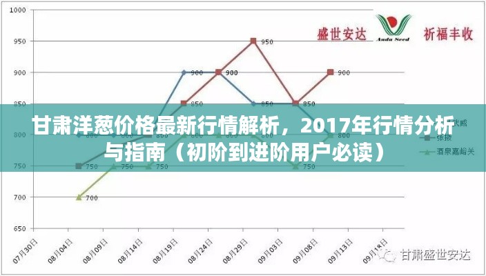 甘肅洋蔥價(jià)格最新行情解析，2017年行情分析與指南（初階到進(jìn)階用戶必讀）