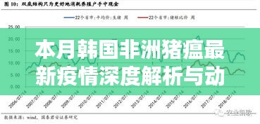 本月韓國非洲豬瘟最新疫情深度解析與動態(tài)更新