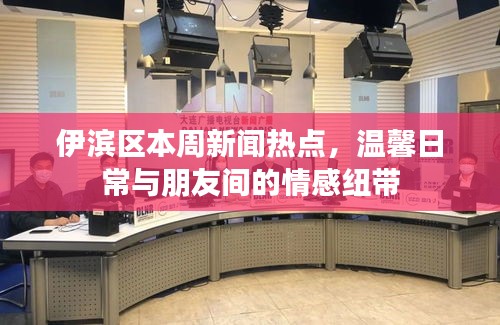 伊濱區(qū)本周新聞熱點，溫馨日常與朋友間的情感紐帶