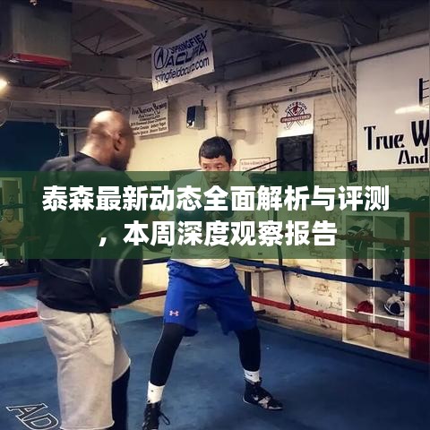 泰森最新動態(tài)全面解析與評測，本周深度觀察報告