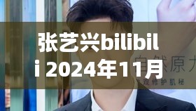 張藝興bilibili 2024年11月12日最新活動特別版指南