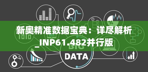 新奧精準(zhǔn)數(shù)據(jù)寶典：詳盡解析_INP61.482并行版