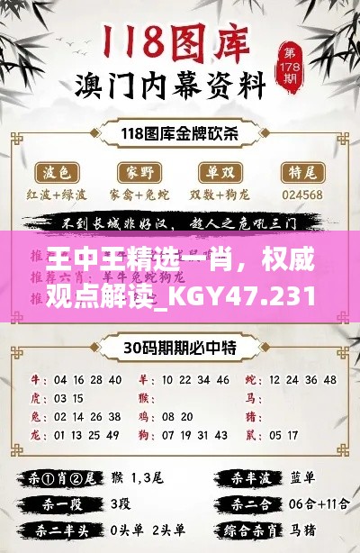 王中王精選一肖，權(quán)威觀點(diǎn)解讀_KGY47.231閃電版