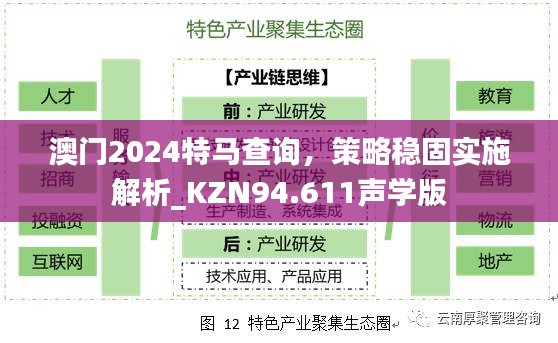 澳門2024特馬查詢，策略穩(wěn)固實(shí)施解析_KZN94.611聲學(xué)版