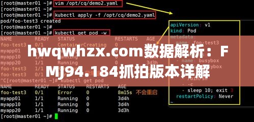 hwqwhzx.com數(shù)據(jù)解析：FMJ94.184抓拍版本詳解