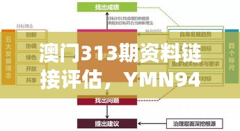 澳門313期資料鏈接評(píng)估，YMN94.310緊湊版執(zhí)行機(jī)制