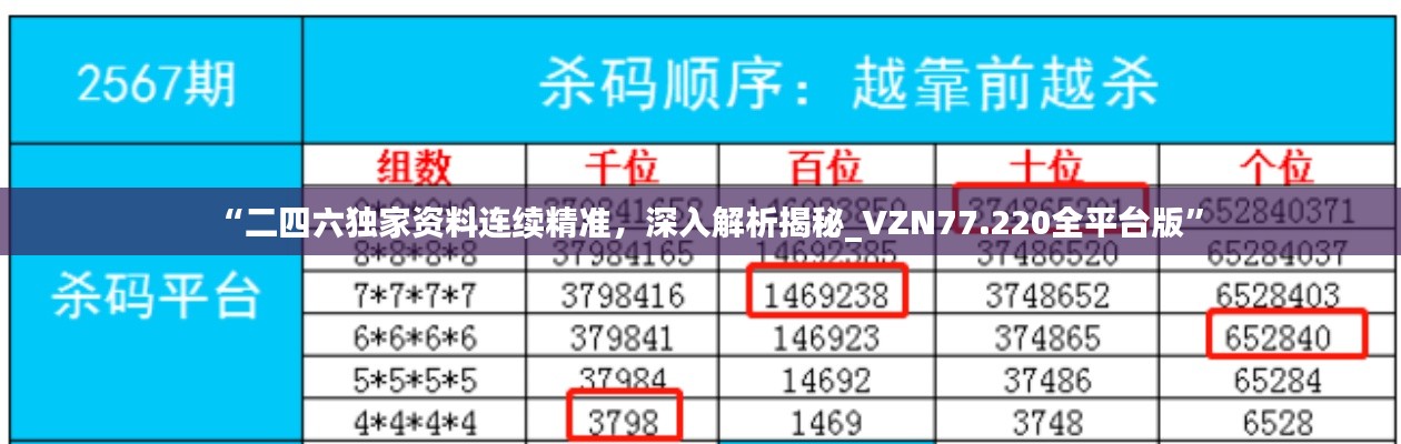 “二四六獨(dú)家資料連續(xù)精準(zhǔn)，深入解析揭秘_VZN77.220全平臺(tái)版”