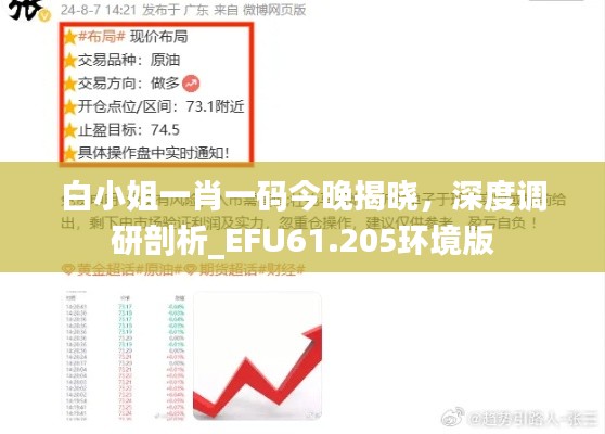 白小姐一肖一碼今晚揭曉，深度調(diào)研剖析_EFU61.205環(huán)境版