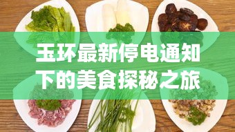 玉環(huán)最新停電通知下的美食探秘之旅，獨(dú)特小巷美食探秘之旅