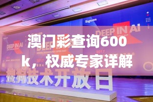 澳門彩查詢600k，權(quán)威專家詳解_MBD47.371流線型版