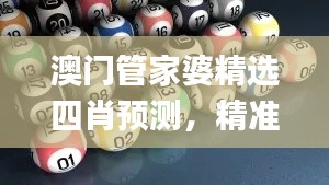 澳門管家婆精選四肖預(yù)測，精準(zhǔn)策略規(guī)劃_UZI61.524珍藏版