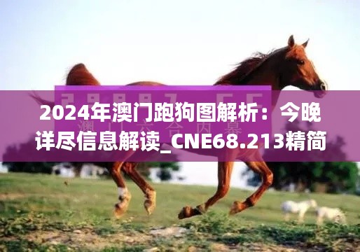 2024年澳門跑狗圖解析：今晚詳盡信息解讀_CNE68.213精簡版