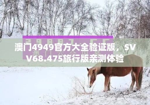 澳門4949官方大全驗證版，SVV68.475旅行版親測體驗