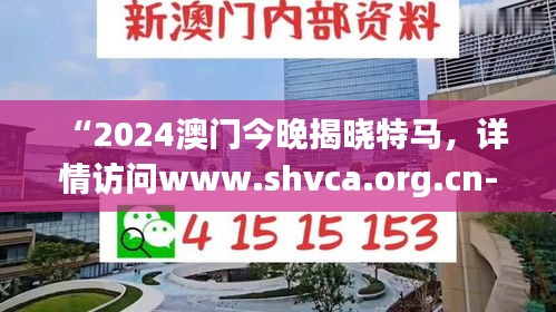 “2024澳門(mén)今晚揭曉特馬，詳情訪(fǎng)問(wèn)www.shvca.org.cn-見(jiàn)證版MLC94.213精細(xì)方案決策”