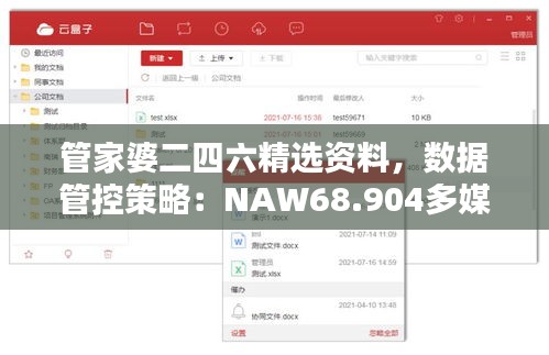 管家婆二四六精選資料，數(shù)據(jù)管控策略：NAW68.904多媒體版