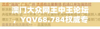 澳門大眾網(wǎng)王中王論壇，YQV68.784權(quán)威專家解答區(qū)