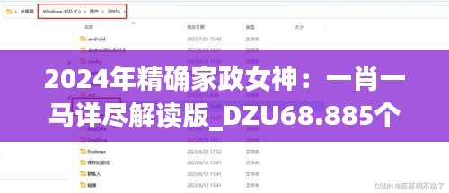 2024年精確家政女神：一肖一馬詳盡解讀版_DZU68.885個人專用