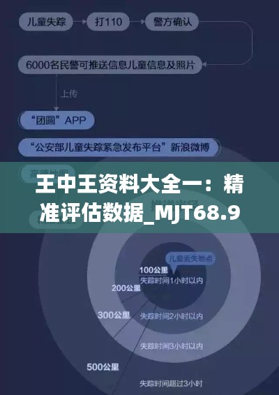 王中王資料大全一：精準(zhǔn)評(píng)估數(shù)據(jù)_MJT68.928尋寶版