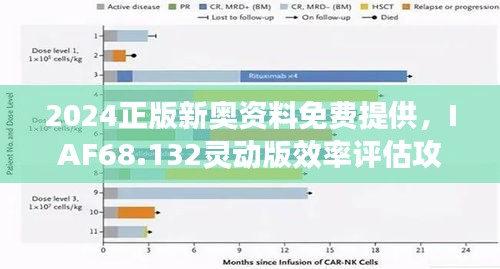 2024正版新奧資料免費提供，IAF68.132靈動版效率評估攻略