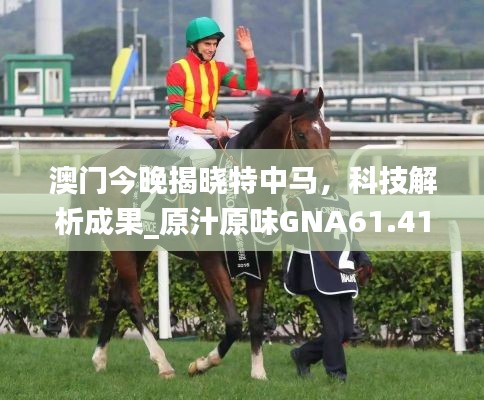 澳門(mén)今晚揭曉特中馬，科技解析成果_原汁原味GNA61.413版