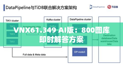 VNX61.349 AI版：800圖庫(kù)即時(shí)解答方案