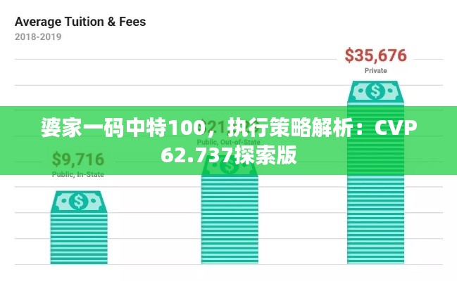 婆家一碼中特100，執(zhí)行策略解析：CVP62.737探索版