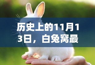 歷史上的11月13日，白兔窩最新高科技產(chǎn)品引領(lǐng)未來生活