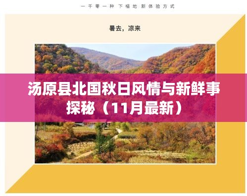 湯原縣北國(guó)秋日風(fēng)情與新鮮事探秘（11月最新）