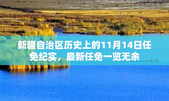 新疆自治區(qū)歷史上的11月14日任免紀(jì)實(shí)，最新任免一覽無(wú)余