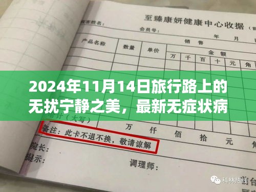 2024年11月14日旅行路上的無(wú)擾寧?kù)o之美，最新無(wú)癥狀病例報(bào)告