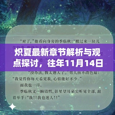 熾夏最新章節(jié)解析與觀點探討，往年11月14日發(fā)布日回顧與前瞻