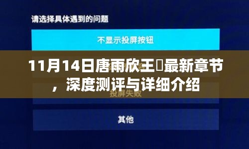 11月14日唐雨欣王玥最新章節(jié)，深度測評與詳細(xì)介紹