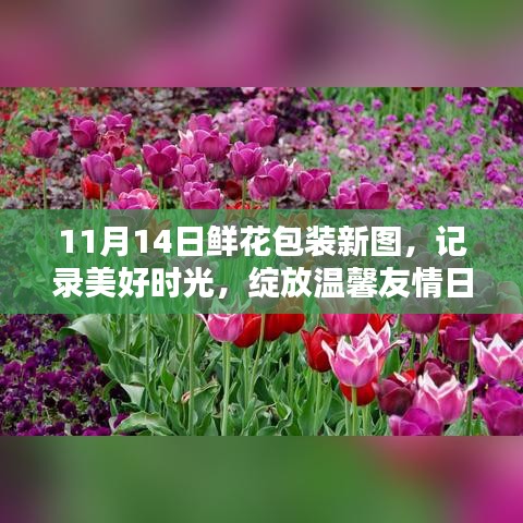 11月14日鮮花包裝新圖，記錄美好時(shí)光，綻放溫馨友情日