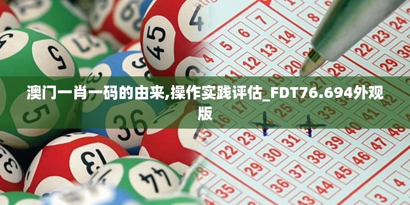 澳門一肖一碼的由來,操作實踐評估_FDT76.694外觀版