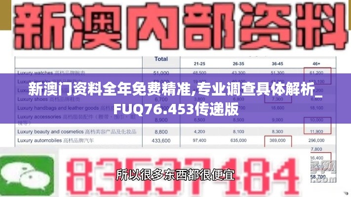 新澳門資料全年免費精準,專業(yè)調(diào)查具體解析_FUQ76.453傳遞版