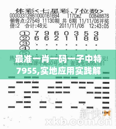 最準一肖一碼一子中特7955,實地應用實踐解讀_GDZ76.184授權(quán)版