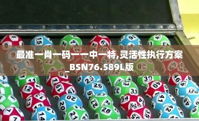 最準一肖一碼一一中一特,靈活性執(zhí)行方案_BSN76.589L版