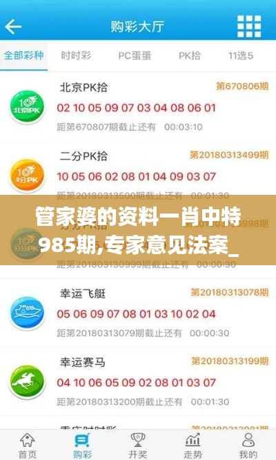 管家婆的資料一肖中特985期,專家意見法案_UWR76.680內(nèi)容版