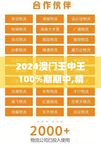 2024澳門王中王100%期期中,精細化實施分析_RNJ76.123體現(xiàn)版