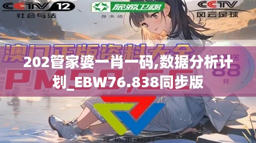 202管家婆一肖一碼,數(shù)據(jù)分析計劃_EBW76.838同步版