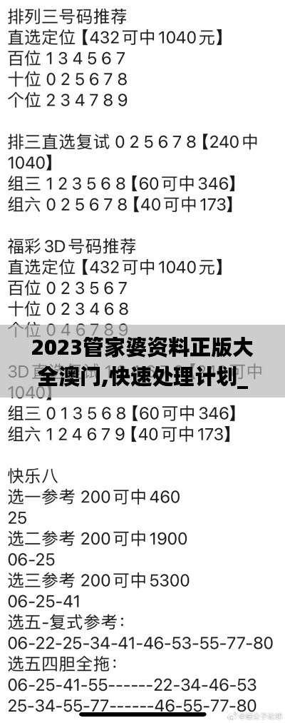 2023管家婆資料正版大全澳門,快速處理計劃_FVH76.867和諧版