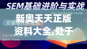 新奧天天正版資料大全,處于迅速響應(yīng)執(zhí)行_FOM76.175神秘版