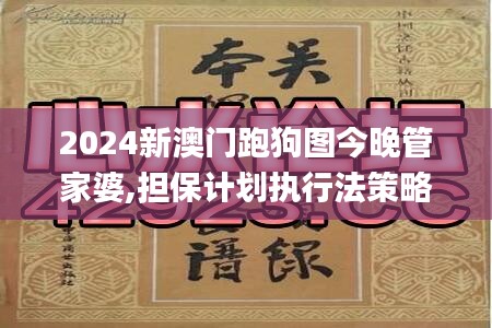 2024新澳門跑狗圖今晚管家婆,擔(dān)保計劃執(zhí)行法策略_XFE76.897云技術(shù)版